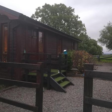 Stay With Your Pet Killarney Eksteriør billede
