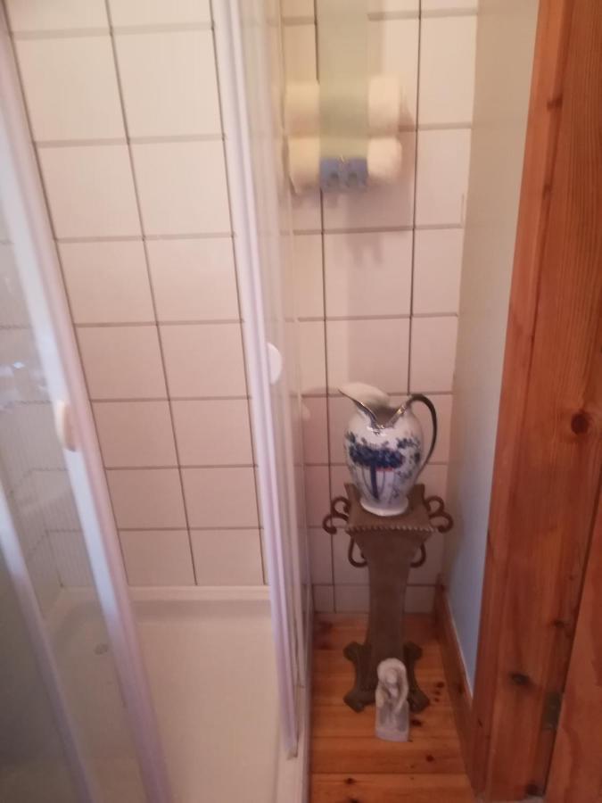 Stay With Your Pet Killarney Eksteriør billede