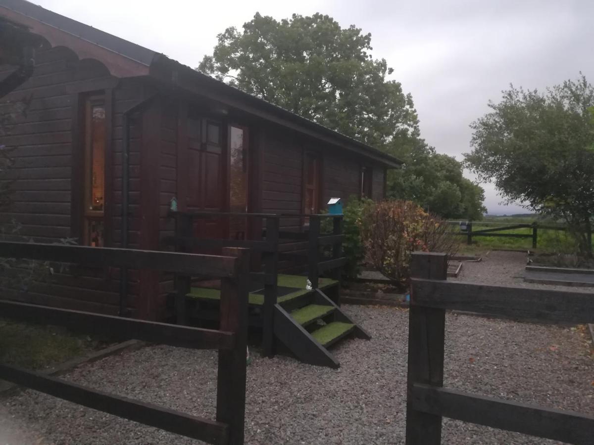 Stay With Your Pet Killarney Eksteriør billede