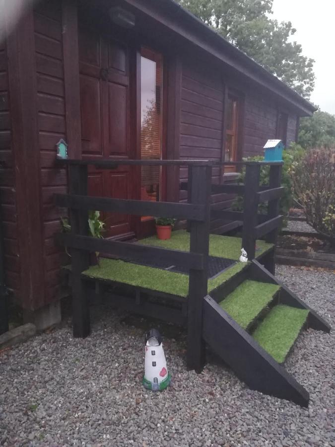 Stay With Your Pet Killarney Eksteriør billede