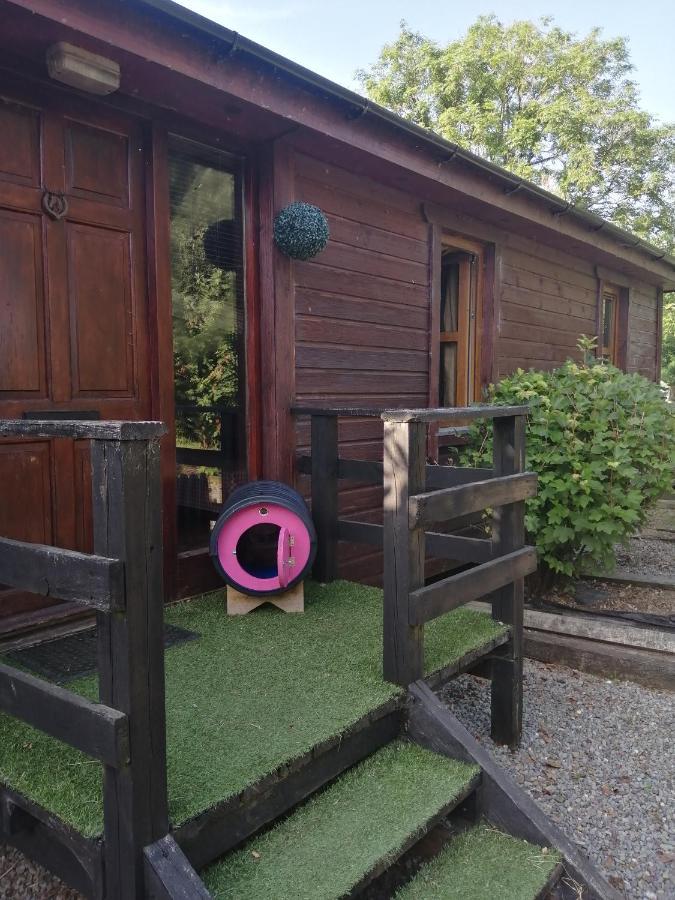 Stay With Your Pet Killarney Eksteriør billede