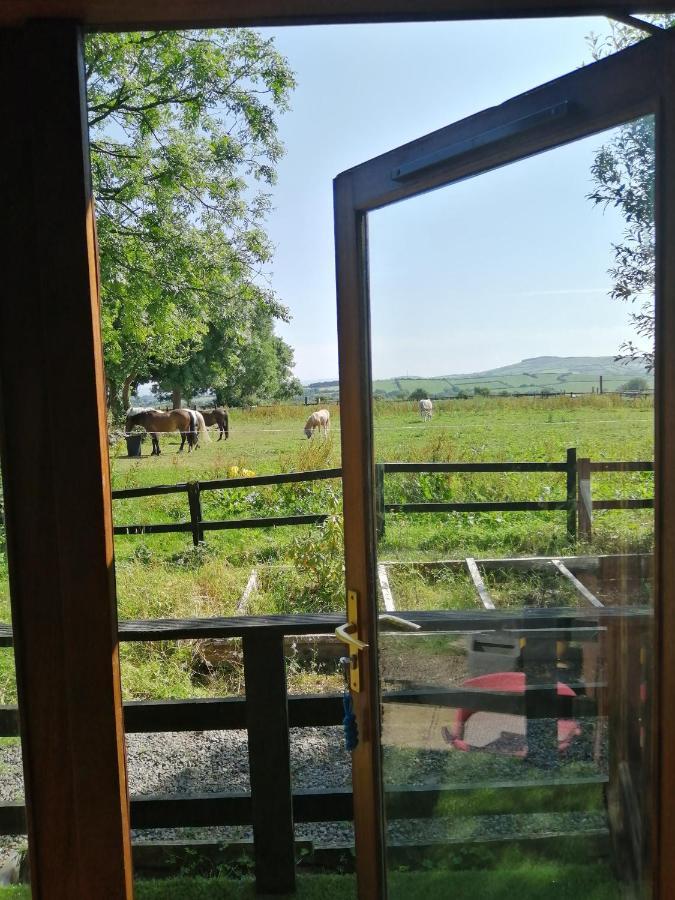 Stay With Your Pet Killarney Eksteriør billede
