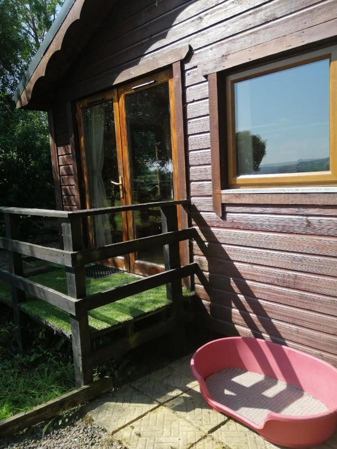 Stay With Your Pet Killarney Eksteriør billede