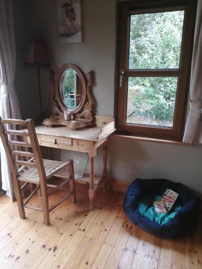 Stay With Your Pet Killarney Eksteriør billede