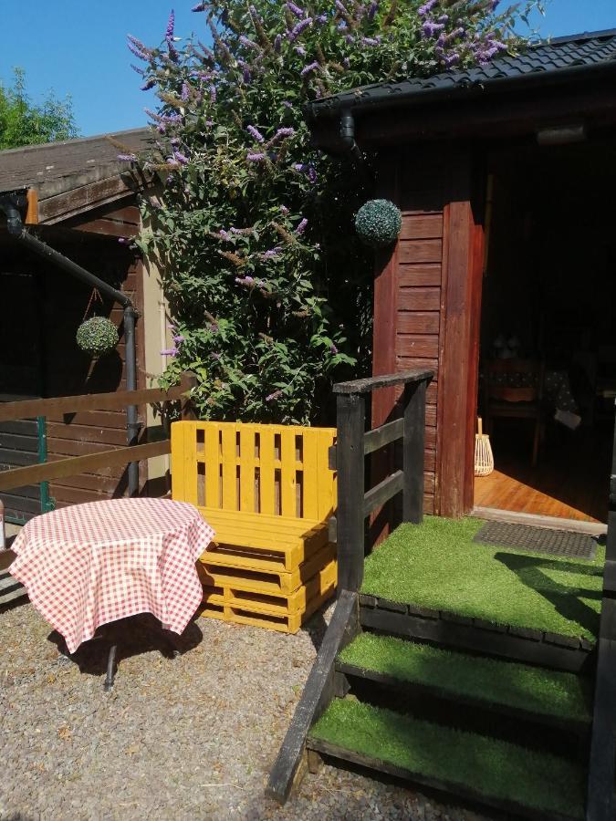 Stay With Your Pet Killarney Eksteriør billede
